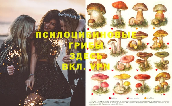 стафф Козловка