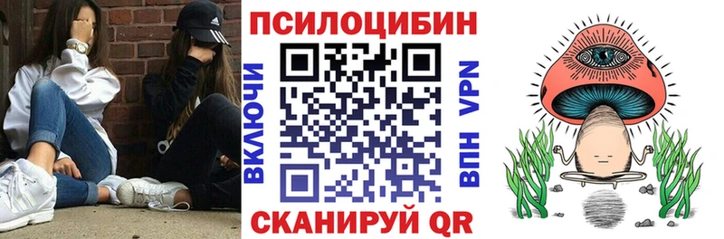 Псилоцибиновые грибы мицелий  Купить закладки  Меленки 